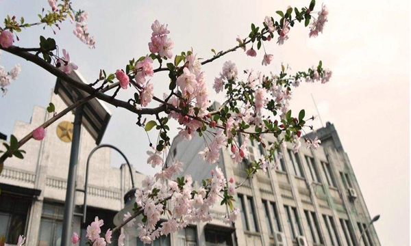 广东专升本院校有哪些?专升本是全日制本科吗?