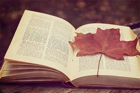 2020年广东专升本第一学历是本科吗?