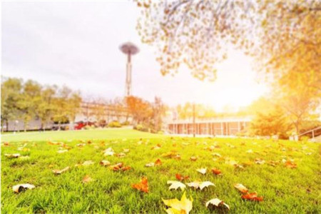 报考全日制广东专升本的条件是什么?