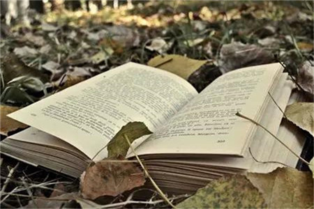 广东自考专业科目一览表?