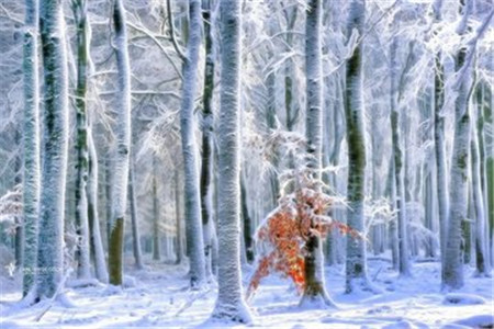 广东专插本考试如何做到稳定发挥?