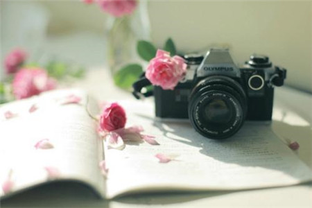 广东专插本一定是大三才能报名吗?