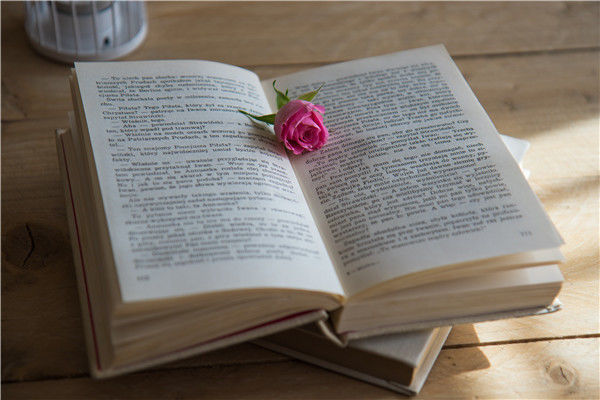 2020广东专插本控制分数线