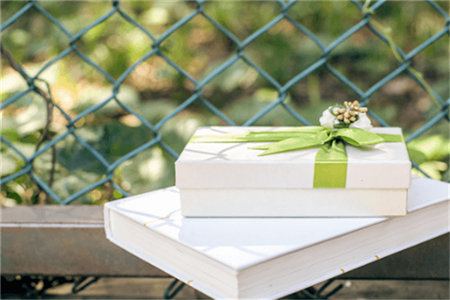 广东白云学院专插本报考条件