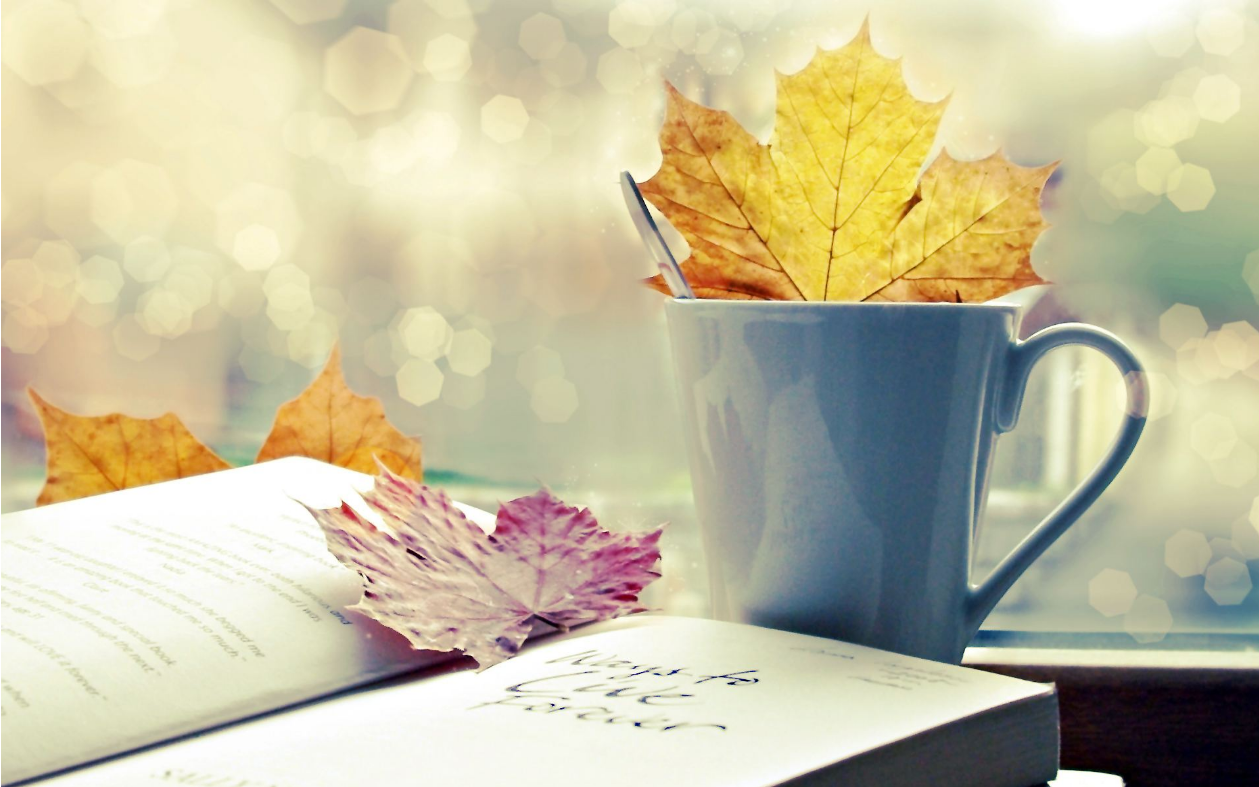 2021中山专插本职教师资类专业报考条件