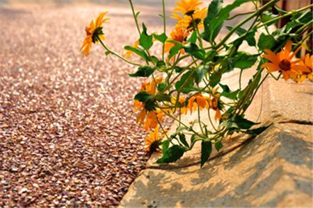 2021年专插本复习打基础,还是要靠这几个月!