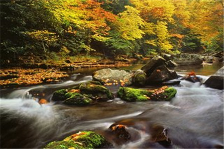 广东专插本考试科目