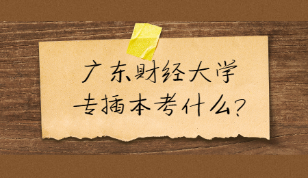 广东财经大学专插本考什么?