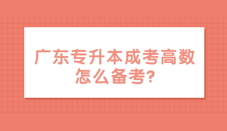 广东专升本成考高数怎么备考?