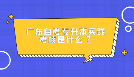 广东自考专升本实践考核是什么?