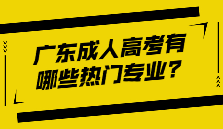 广东成人高考有哪些热门专业?