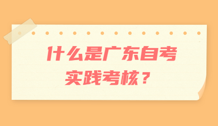 什么是广东自考实践考核?