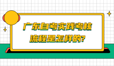 广东自考实践考核流程是怎样的?