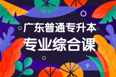 什么是广东普通专升本专业综合课?