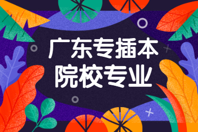 2022年广东专插本有哪些学校和专业？