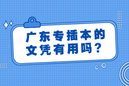 广东专插本文凭
