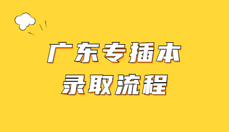 广东专插本录取流程.jpg