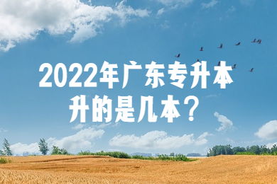 2022年广东专升本升的是几本?