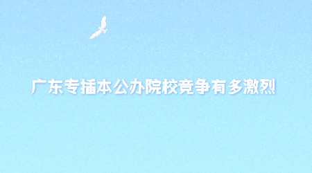 广东专插本公办院校竞争有多激烈.png
