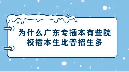 为什么广东专插本有些院校插本生比普招生多.png