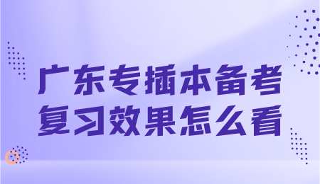 广东专插本备考复习效果怎么看.png