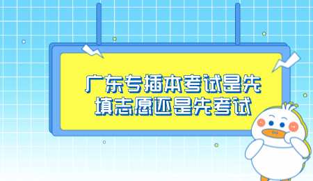 广东专插本考试是先填志愿还是先考试.png