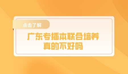 广东专插本联合培养真的不好吗.png