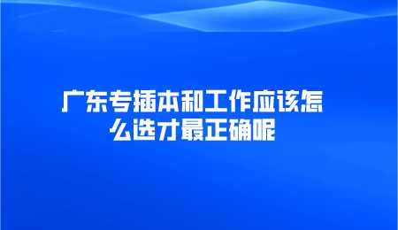 广东专插本和工作应该怎么选才最正确呢.png