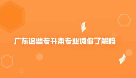 广东这些专升本专业词你了解吗.png