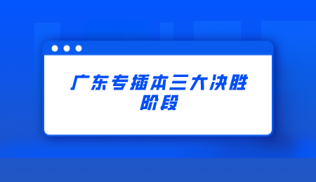广东专插本三大决胜阶段.png