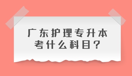 广东护理专升本考什么科目_.jpg