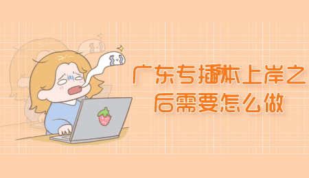 广东专插本上岸之后需要怎么做.png