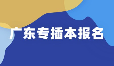 广东专插本报名.jpg