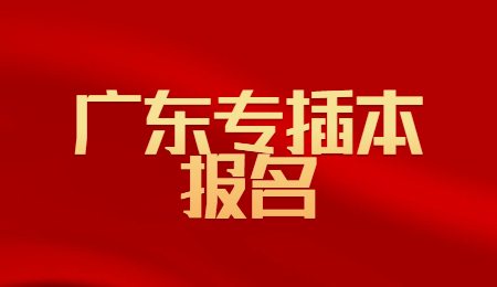 广东专插本报名 (1).jpg
