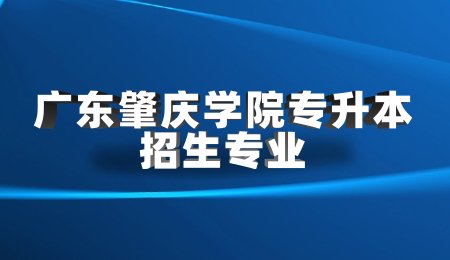广东肇庆学院专升本招生专业.jpg