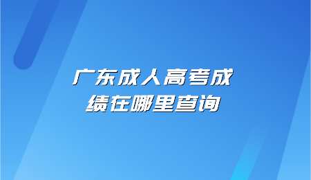 广东成人高考成绩在哪里查询.png