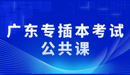 广东专插本考试公共课.jpg