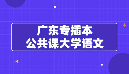 广东专插本公共课大学语文.jpg