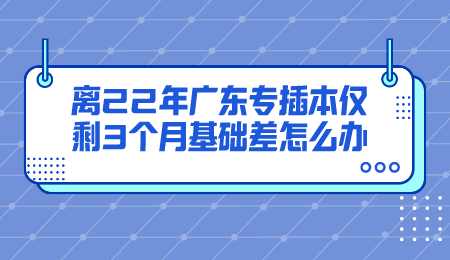 离22年广东专插本仅剩3个月基础差怎么办.png