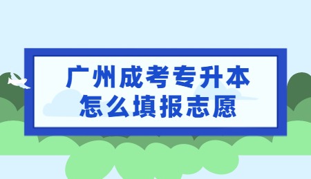 广州成考专升本怎么填报志愿.jpg