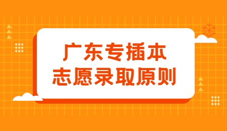 广东专插本志愿录取原则.jpg
