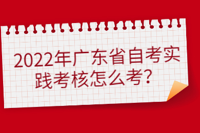 2022年广东省自考实践考核怎么考？