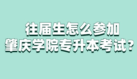 往届生怎么参加肇庆学院专升本考试?.jpg