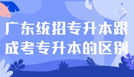 广东统招专升本跟成考专升本的区别.jpg