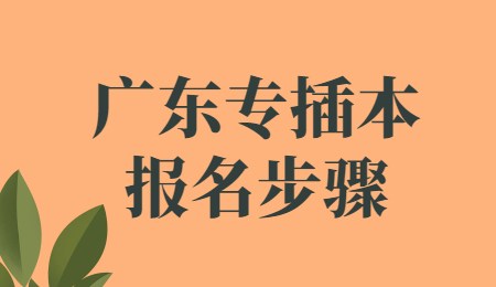 广东专插本报名步骤.jpg