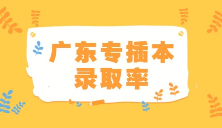 广东专插本录取率.jpg