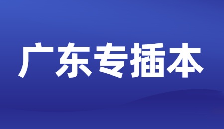 广东专插本.jpg