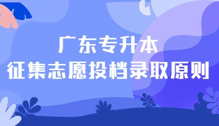 广东专升本征集志愿投档录取原则.jpg
