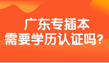 广东专插本需要学历认证吗？.png