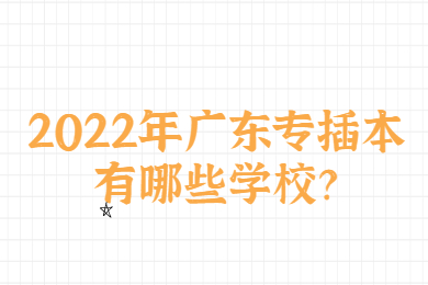 2022年广东专插本有哪些学校？